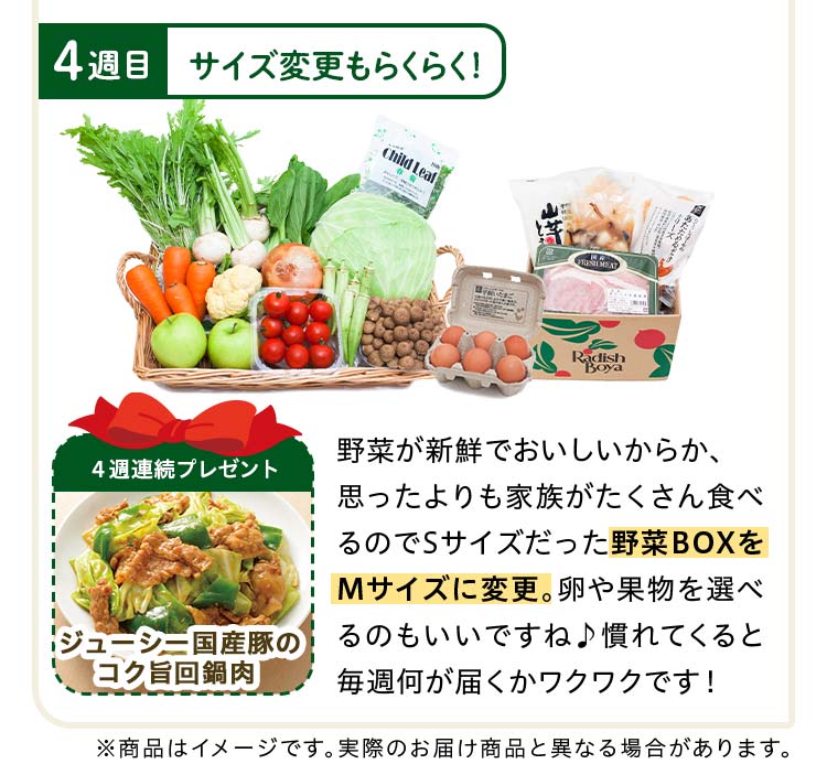 4週目:野菜が新鮮でおいしいからか、思ったよりも家族がたくさん食べるのでSサイズだった野菜BOXをMサイズに変更。卵や果物を選べるのもいいですね♪慣れてくると毎週何が届くかワクワクです!