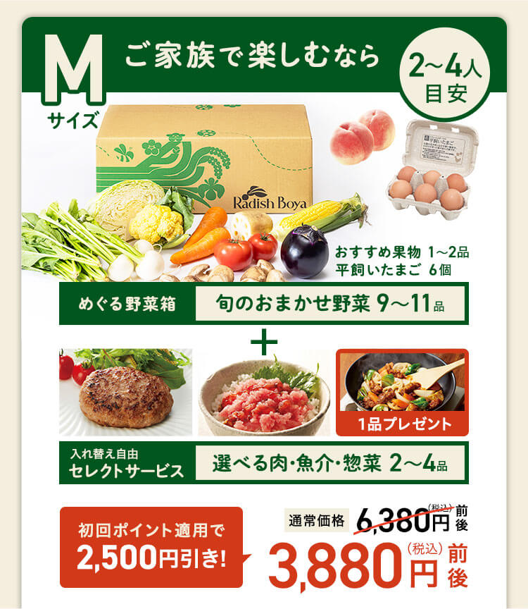 ＜2〜3人分＞ご家族で楽しむなら♪　コース内容：［野菜BOX］旬の野菜9〜11品、旬の果物1~2品、平飼いたまご6個(通常規格〜ふぞろい含む)［厳選食材］旬魚・肉・惣菜2〜4品 4200(税込)前後