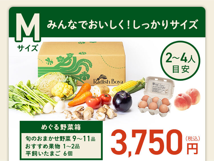 ＜2〜3人分＞ご家族で楽しむなら♪　コース内容：［野菜BOX］旬の野菜9〜11品、旬の果物1~2品、平飼いたまご6個(通常規格〜ふぞろい含む)［厳選食材］旬魚・肉・惣菜2〜4品 3,750(税込)前後