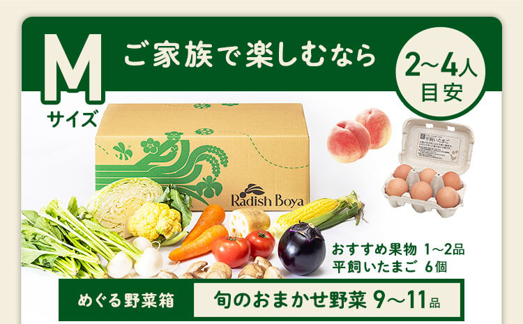 ＜1〜2人分＞まずはお手軽に旬の野菜を楽しむなら♪おためしセットと同じ野菜の品数　コース内容：［野菜BOX］旬の野菜9〜11品、旬の果物1~2品、平飼いたまご6個(通常規格〜ふぞろい含む)