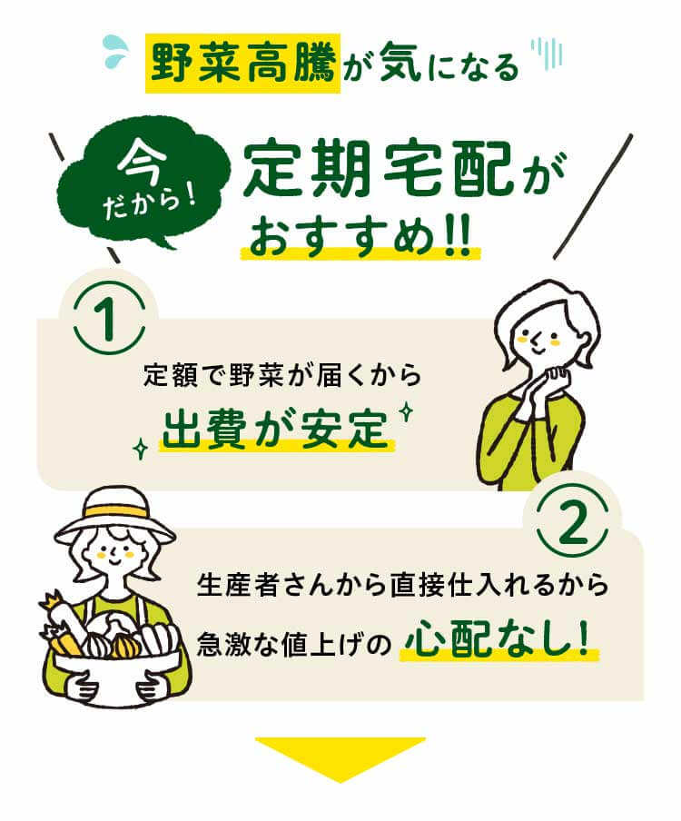 野菜高騰が気になる今だから定期宅配をおすすめします！！ 1,定額で野菜が届くから出費安定 2,生産者さんから直接仕入れるから急激な値上げの心配なし！