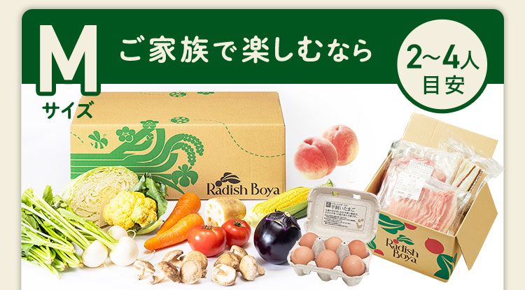 ＜2〜3人分＞ご家族で楽しむなら♪　コース内容：［野菜BOX］旬の野菜9〜11品、旬の果物1~2品、平飼いたまご6個(通常規格〜ふぞろい含む)［厳選食材］旬魚・肉・惣菜2〜4品 3,750(税込)前後