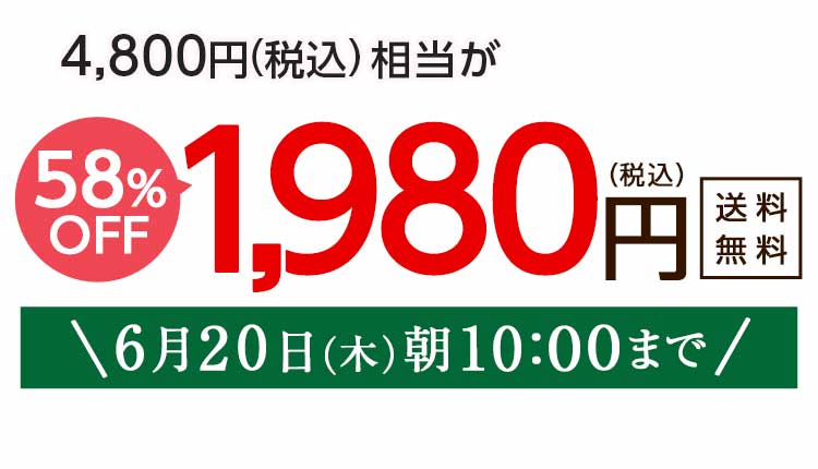 1,980円（税込）　期間限定6/20(木)朝10:00まで