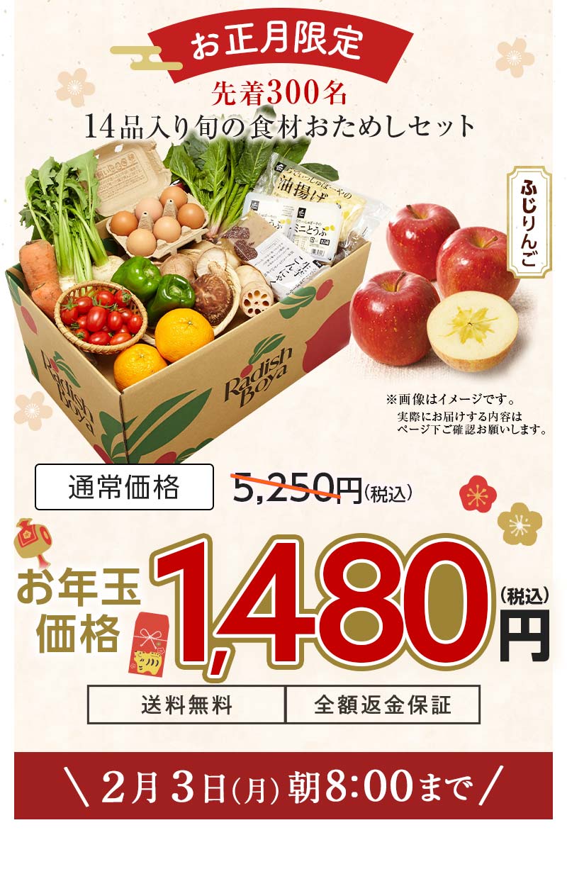 送料無料 数量限定 初夢野菜おためしセット 1,480円（税込）　期間限定2/3(月)朝8:00まで