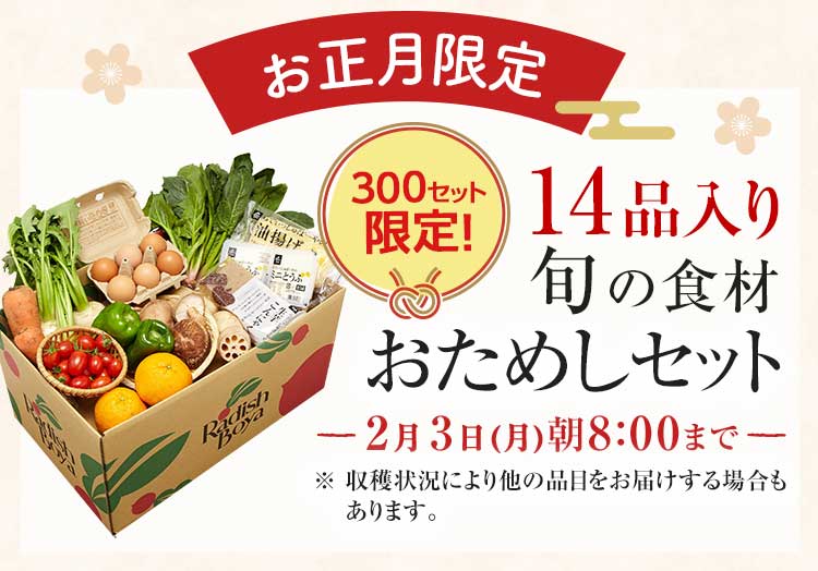 送料無料 金額返金保証　「ふぞろいだけど　ごちそう」まるごと味わう初夢野菜　おためしセット 1,980円（税込）　期間限定2/3(月)朝8:00まで