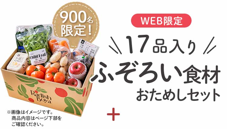 送料無料 数量限定 ふぞろい食材おためしセット