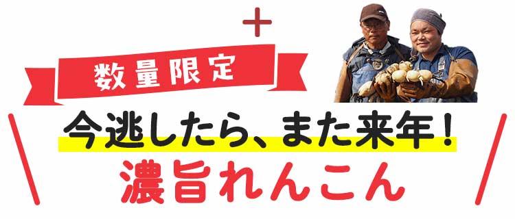 農家さんイチオシ！数量限定 濃旨れんこん入りました