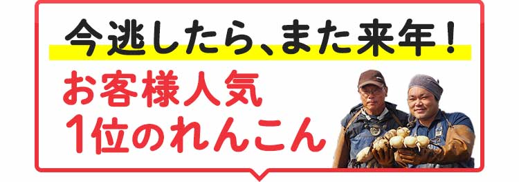 今逃すとまた来年！お客様人気1位のれんこん