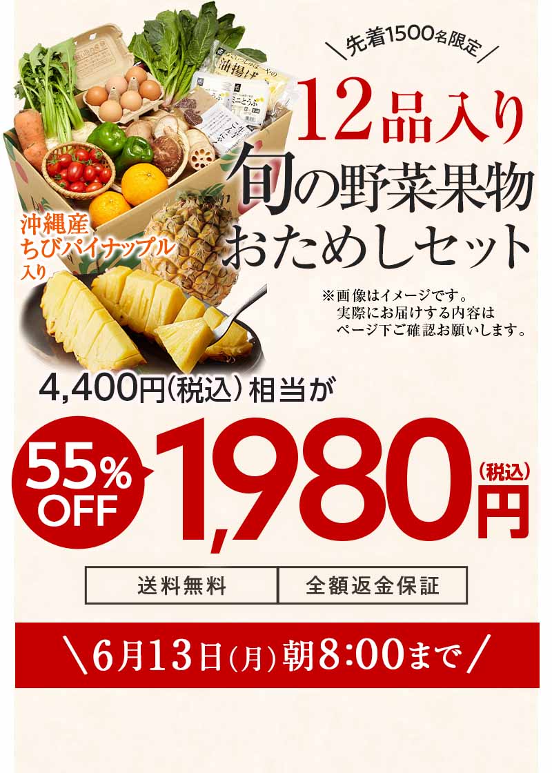 送料無料 金額返金保証　おまかせ野菜ボックス おためしセット 1,980円（税込）　期間限定6/13(月)朝8:00まで