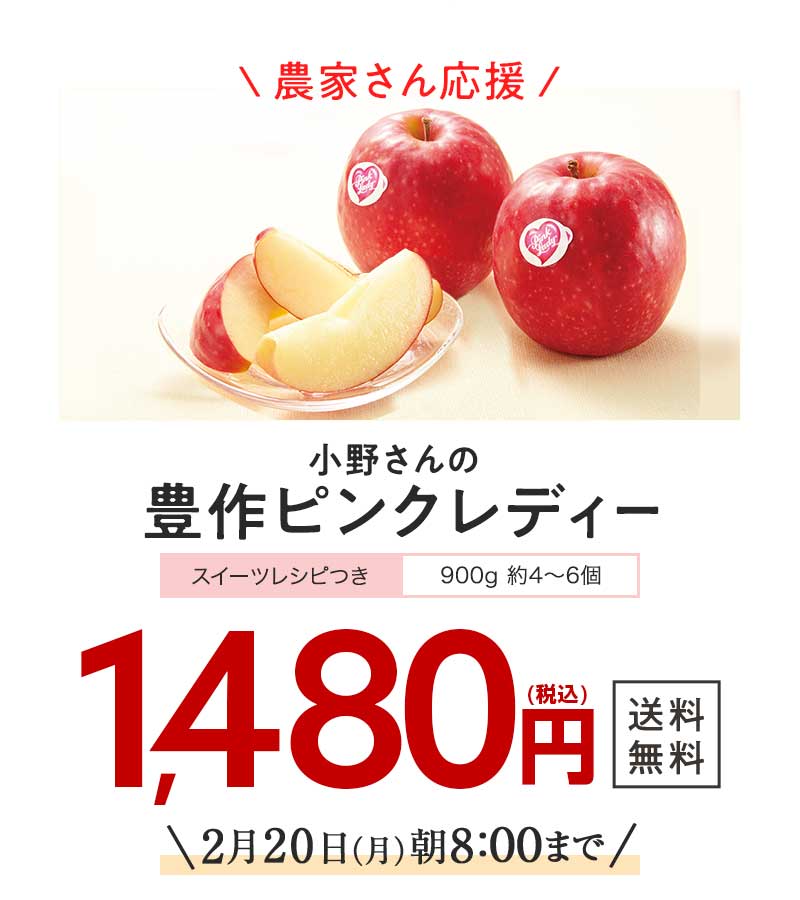 送料無料 金額返金保証　おまかせ野菜ボックス おためしセット 1,480円（税込）　期間限定2/20(月)朝8:00まで