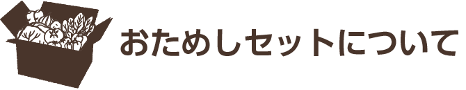 おためしセットについて