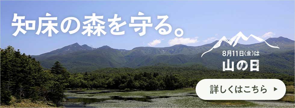 「山ごはん」も入ったおためしセット