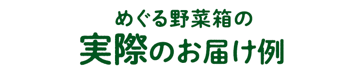 めぐる野菜箱実際のお届け例