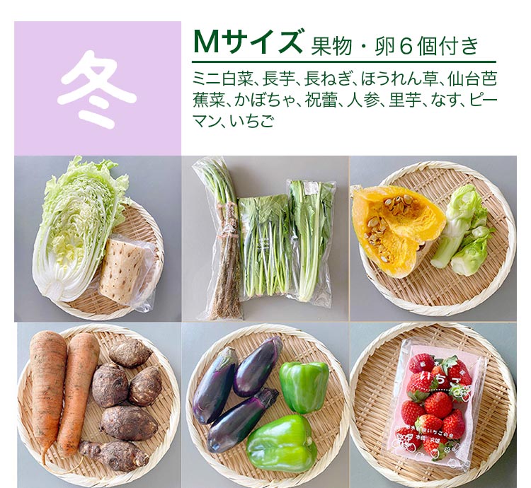 冬 Mサイズ　果物・卵6個付き