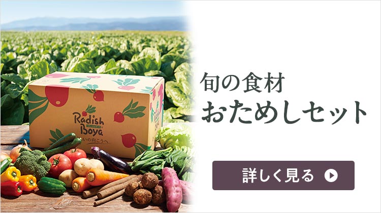 12月スーパーSALE 15％OFF】 野菜のダチュキ様専用ページ その他 - www