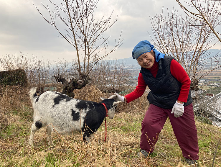 産地からの春だより、桃の枝プレゼント